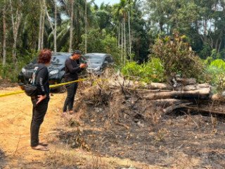 Ranting yang Dibakar Pensiunan di Inhu Lahap 1,5 Hektare Lahan