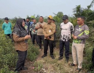 Bupati Siak Dorong 169 Titik Pemantauan TMA untuk Cegah Karhutla