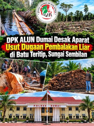 ALUN Dumai Desak Penyelidikan APH Dugaan Illegal Logging di Sungai Sembilan